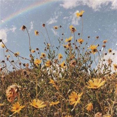 乐发app下载安装官网