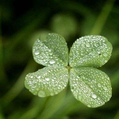 亚新手机版官方登录网站